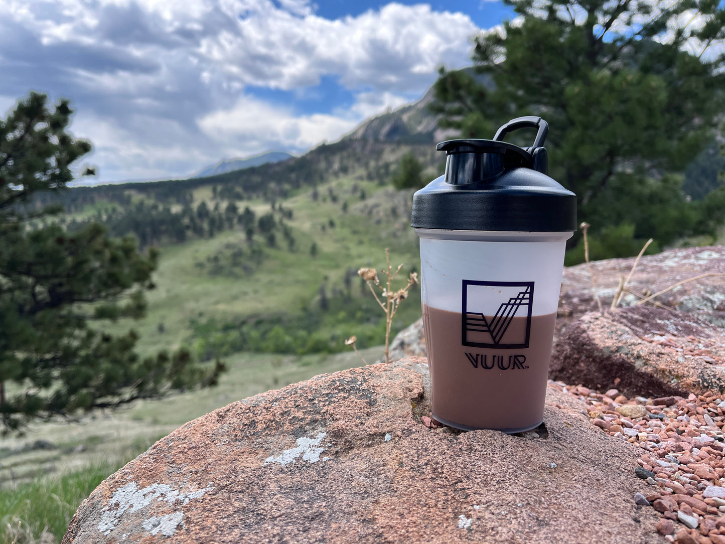 Pre-Order Foundational Fuel Shake Chocolate Flavor